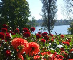 Бодензее - Баварски замъци - Залцбург - Мюнхен