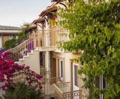 Moonshine hotels & suites
