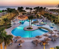 Palm Beach Resort Standard