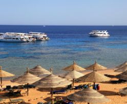 All Inclusive Почивка в Шарм ел Шейх -  есен  2025 - полет от София - полет ден Сряда