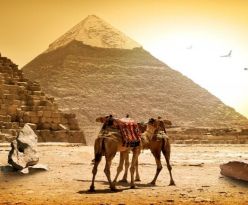 Перлите на Египет - Кайро и Хургада с полет от Пловдив - ПРОЛЕТ 2026