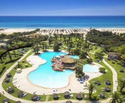 Sentido Phenicia Superior