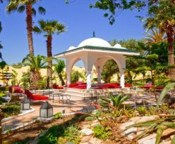 Samira Club Standard