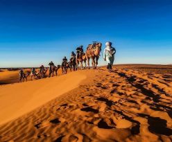 МАРОКО ОТ А ДО Я - от Маракеш до Танжер - полет от Варна 10.11