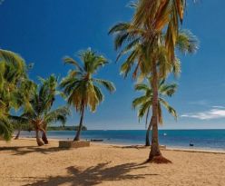 ORANGEA BEACH RESORT